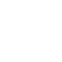 DA-01 polishing pad
