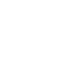 DA-02 polishing pad