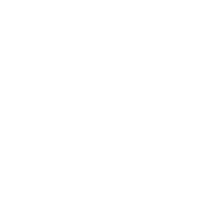 DA-03 polishing pad