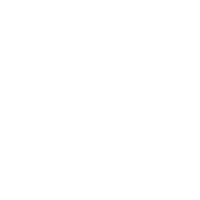 DA-04 polishing pad